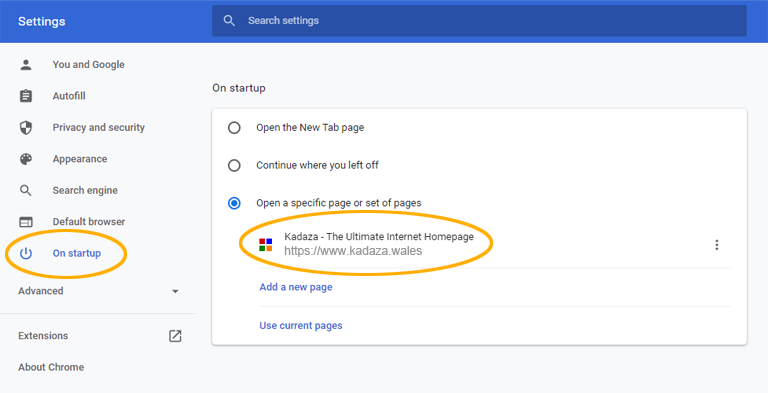 Illustration 2 - How to set homepage in Chrome